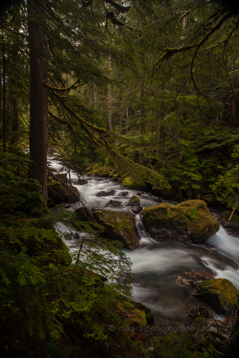 Wandering Northwest Stream